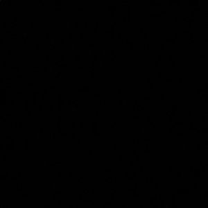 Meet your Posher, Evelyn